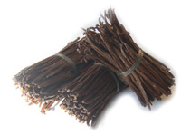 Indonesia vanilla bean