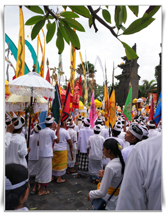 About Bali Vanilla Bean